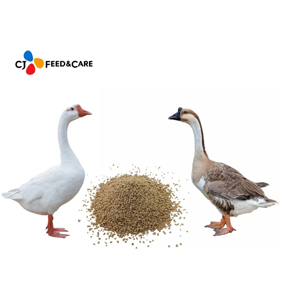 Geese Food suppliers