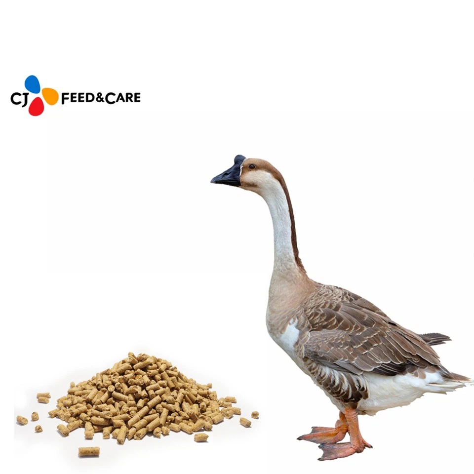 Geese Food